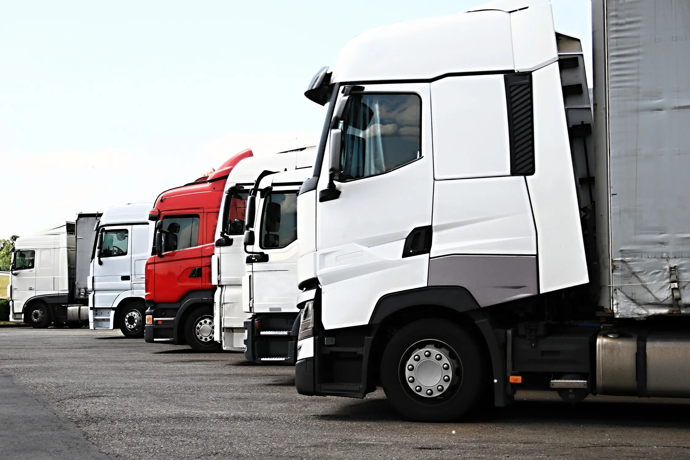 express delivery in Chichester